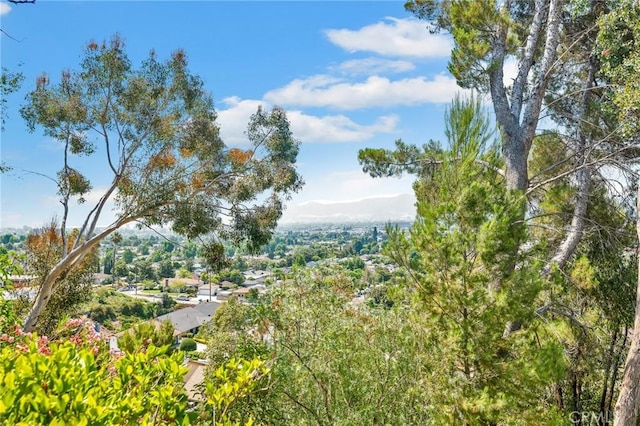 view of local wilderness