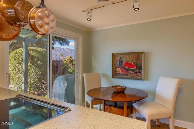 dining space with track lighting, baseboards, a mountain view, and crown molding