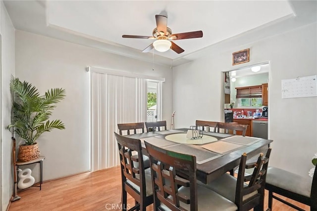 dining space featuring a raised ceiling, ceiling fan, and light wood-type flooring