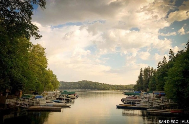 property view of water featuring a boat dock