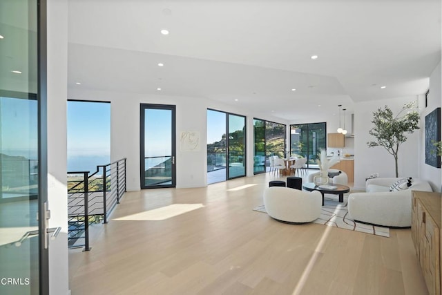 living room with light hardwood / wood-style floors