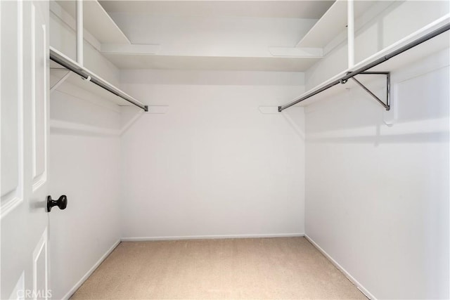 spacious closet with light carpet