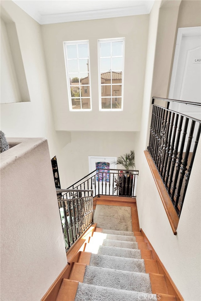 stairway with crown molding and a high ceiling