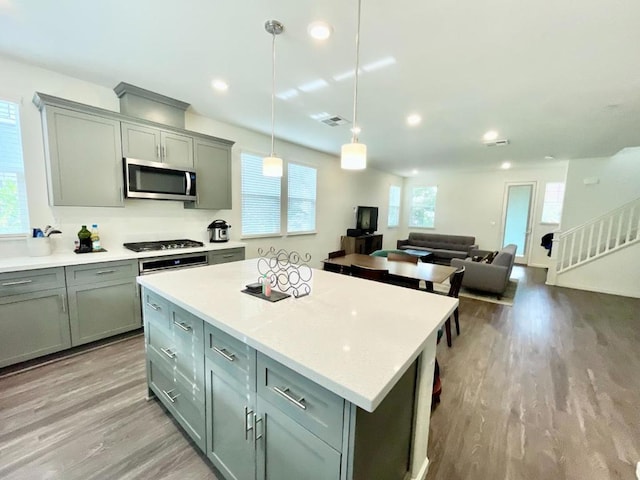 kitchen with a wealth of natural light, light hardwood / wood-style flooring, and stainless steel appliances