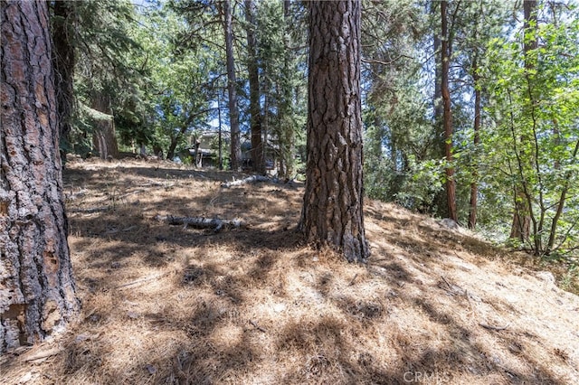 0 Ferndale, Running Springs CA, 92382 land for sale