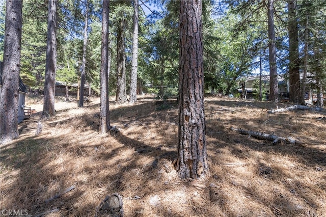 Listing photo 2 for 0 Ferndale, Running Springs CA 92382