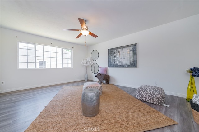 office space featuring ceiling fan and dark wood-type flooring