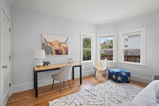 office space with hardwood / wood-style flooring and crown molding