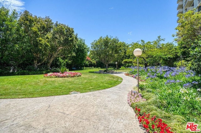 view of property's community with a lawn