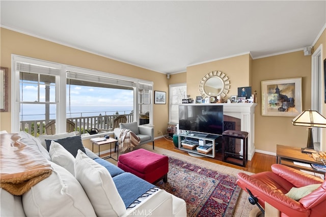 living room with wood-type flooring and crown molding