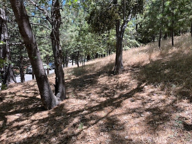 0 Pixie Dr, Running Springs CA, 92382 land for sale