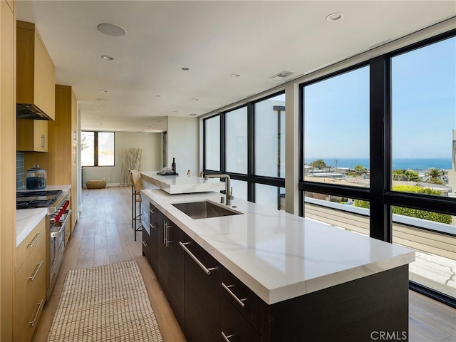 kitchen featuring light wood-type flooring, a kitchen island with sink, sink, a water view, and double oven range