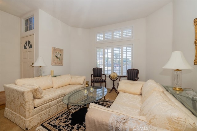 living room with carpet floors