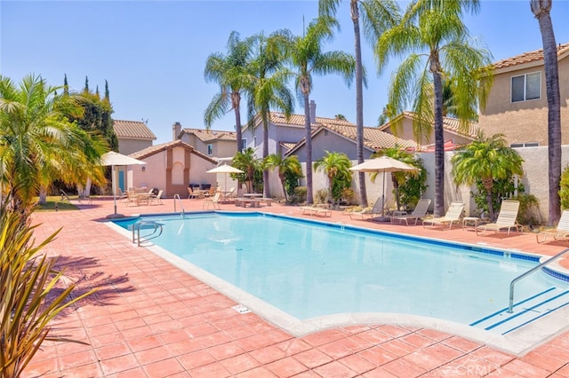 view of swimming pool featuring a patio