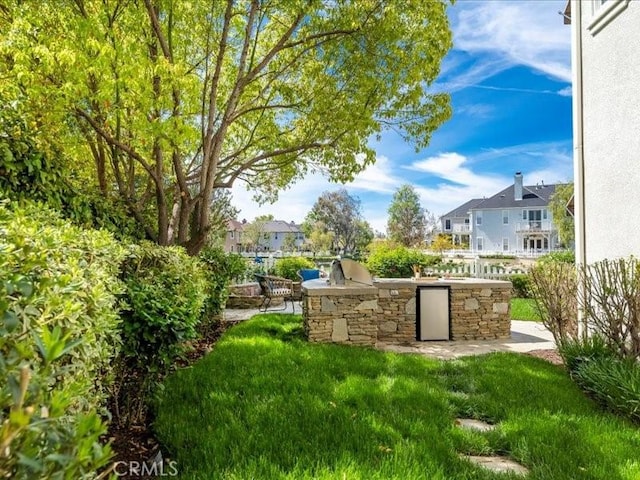 view of yard featuring area for grilling