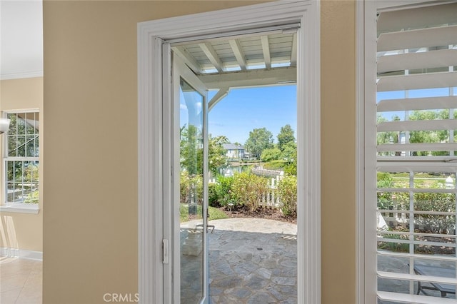 entryway featuring crown molding and plenty of natural light