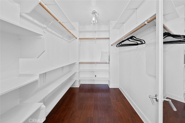 walk in closet with dark hardwood / wood-style floors