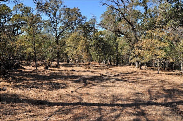 205 Cynthiann Ln, Oroville CA, 95966 land for sale