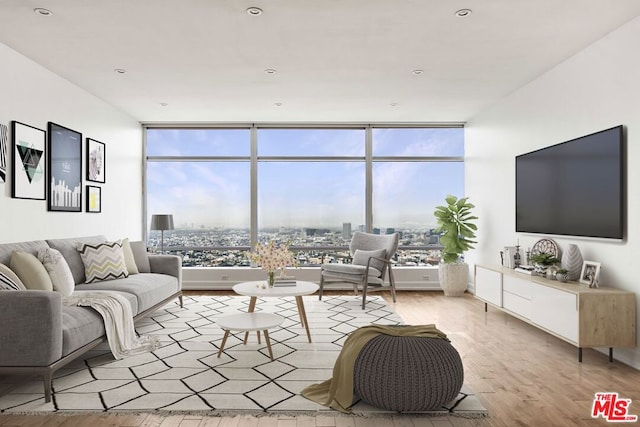 living room featuring light wood-type flooring, a healthy amount of sunlight, and floor to ceiling windows