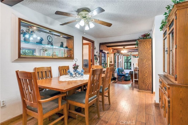 dining area featuring ceiling fan, light hardwood / wood-style floors, and a textured ceiling