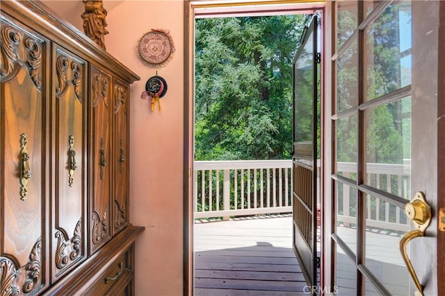 doorway featuring a wealth of natural light