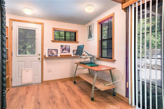 interior space featuring crown molding and light hardwood / wood-style flooring