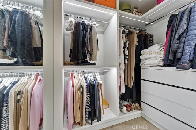 view of spacious closet