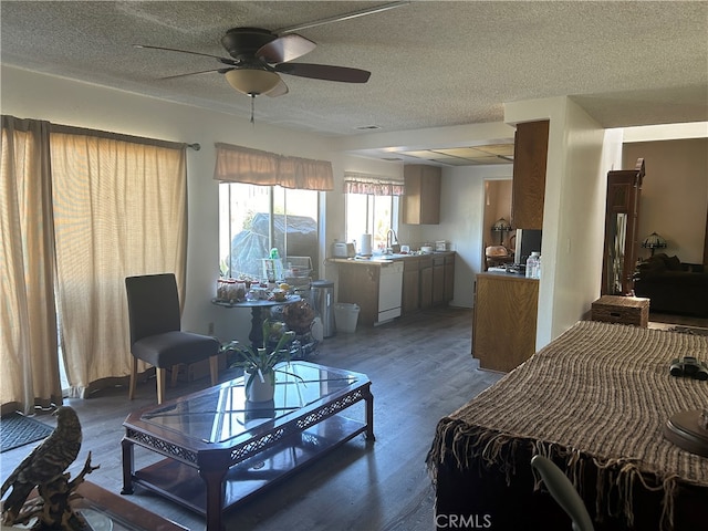 living room featuring a textured ceiling, hardwood / wood-style floors, ceiling fan, and sink