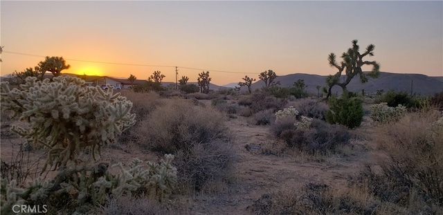 0 Canton St, Yucca Valley CA, 92284 land for sale