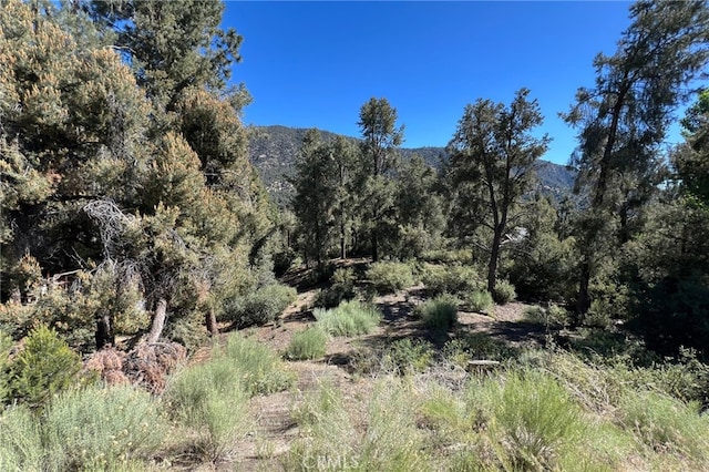 2426 Cedarwood Dr, Pine Mountain Club CA, 93222 land for sale