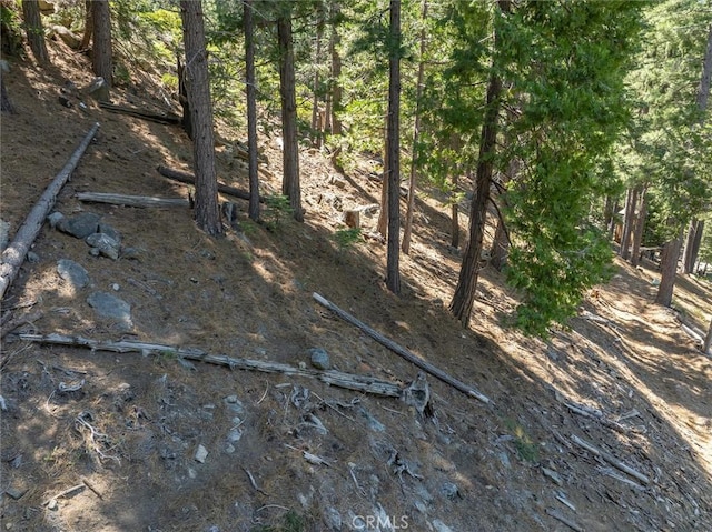 7477 Yosemite Park Way, Yosemite, CA 95389