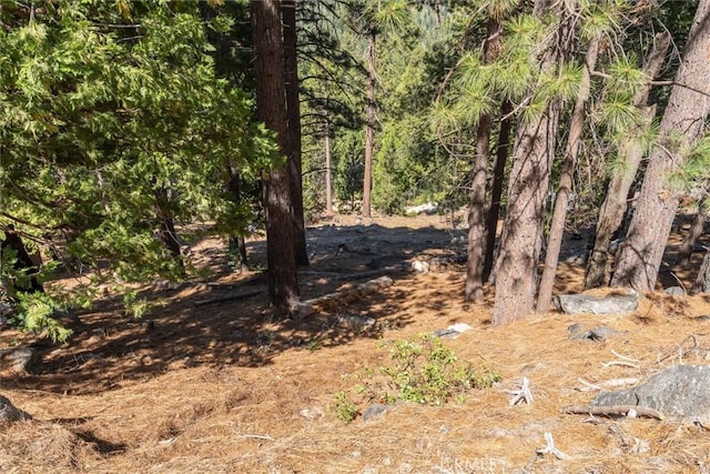 7477 Yosemite Park Way, Yosemite, CA 95389