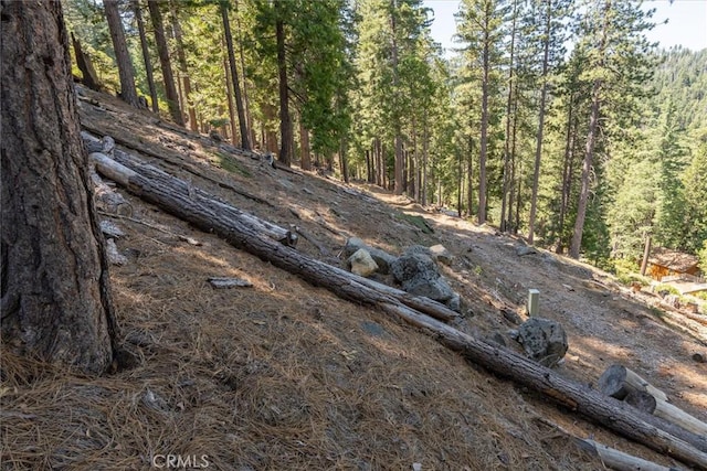 7477 Yosemite Park Way, Yosemite, CA 95389