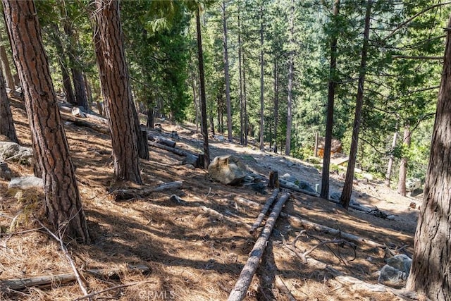 7477 Yosemite Park Way, Yosemite, CA 95389