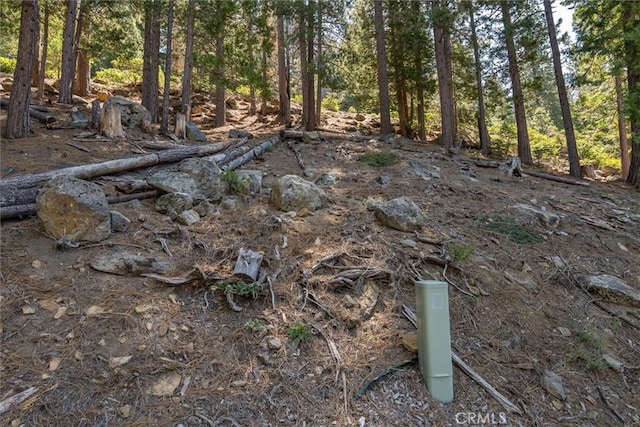 7477 Yosemite Park Way, Yosemite, CA 95389
