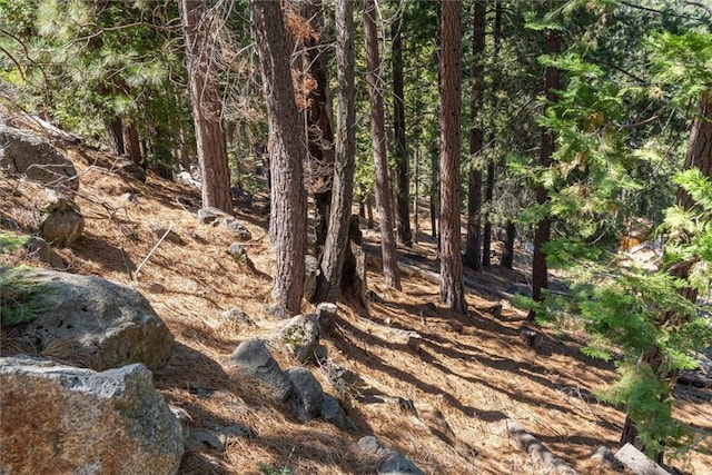 7477 Yosemite Park Way, Yosemite, CA 95389