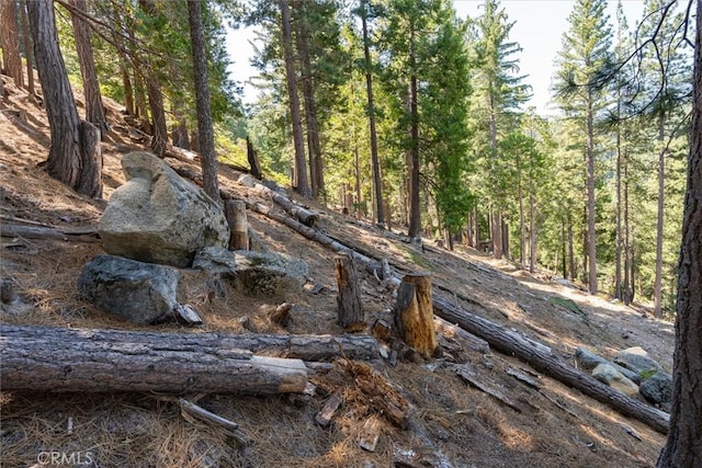 7477 Yosemite Park Way, Yosemite, CA 95389