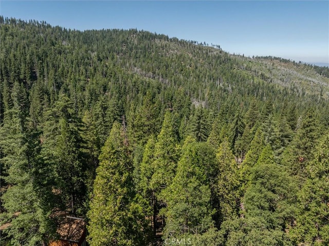 7477 Yosemite Park Way, Yosemite, CA 95389