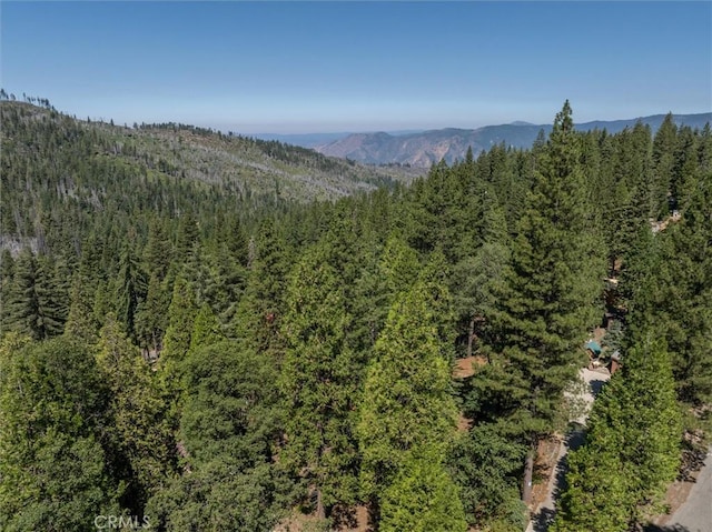 7477 Yosemite Park Way, Yosemite, CA 95389