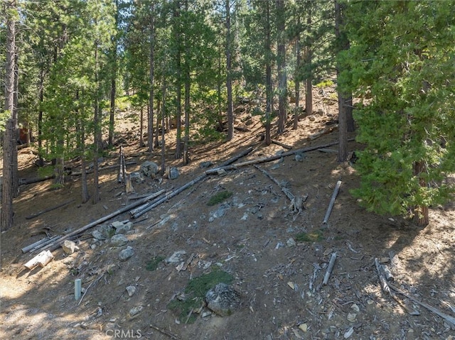7477 Yosemite Park Way, Yosemite, CA 95389