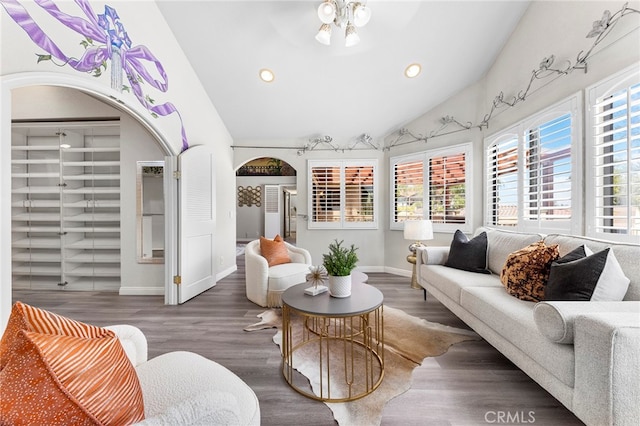 living room with lofted ceiling and dark hardwood / wood-style floors