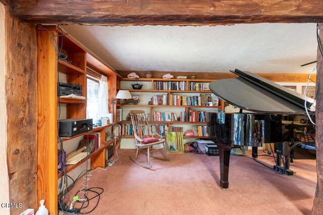 living area with carpet