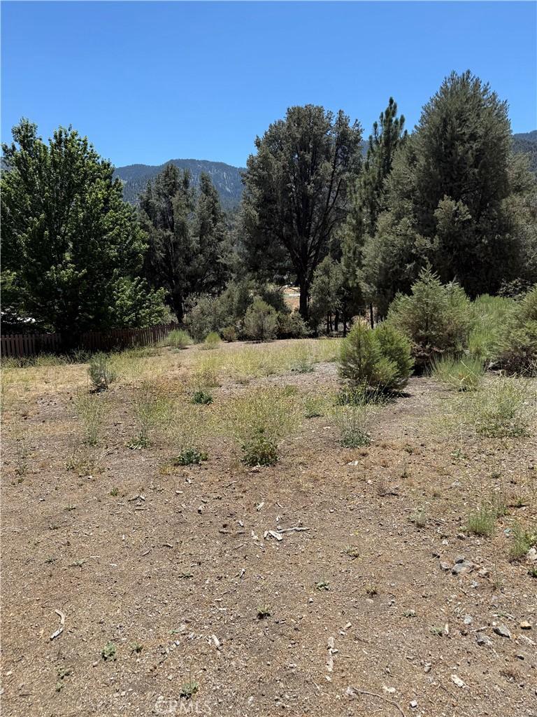 16604 Aleutian, Pine Mountain Club, CA 93222 - photo 1