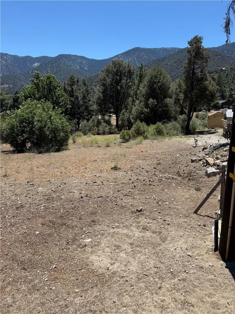 16604 Aleutian, Pine Mountain Club, CA 93222 - photo 2