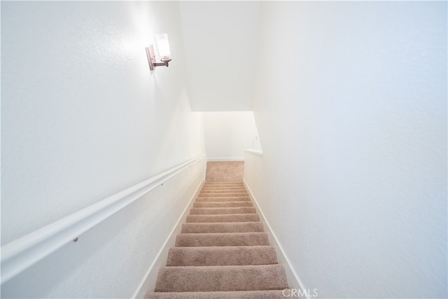 stairway featuring carpet flooring