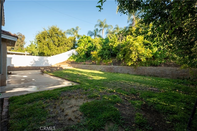 view of yard featuring a patio