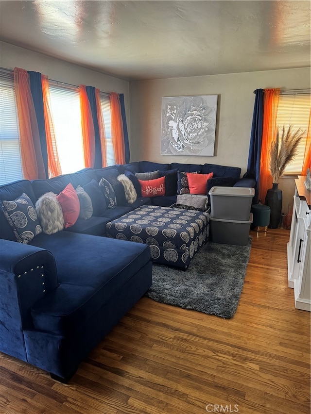 living room featuring wood-type flooring