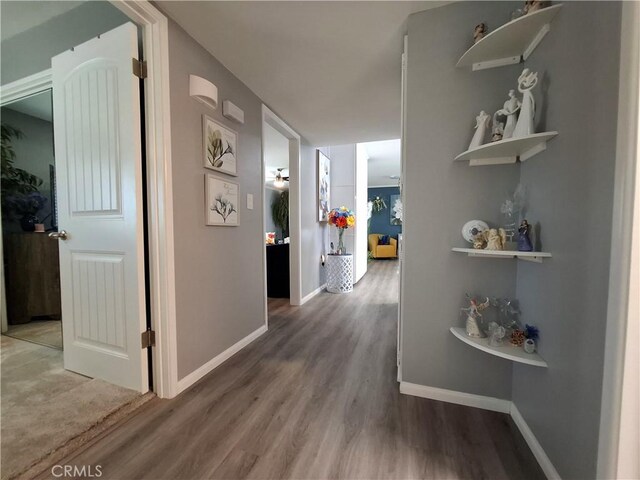 corridor with wood-type flooring