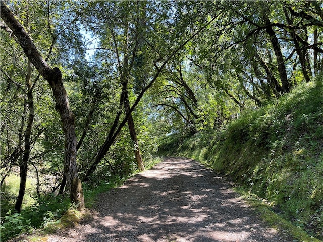 view of road