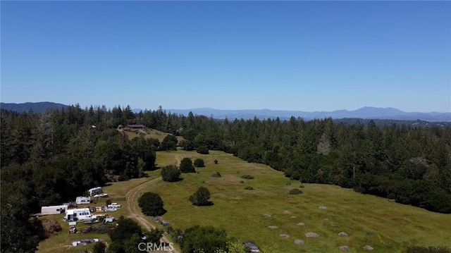 birds eye view of property featuring a mountain view